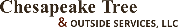 Chesapeake Tree & Outside Services, LLC, Logo