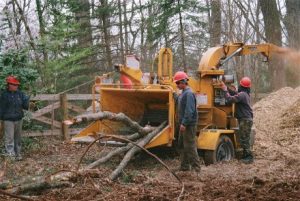 Chesapeake Tree Services Workers Using a Wood Chipper