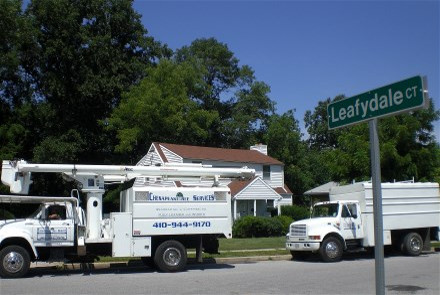  | Chesapeake Tree & Outside Services, LLC