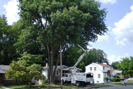 Chesapeake Tree Services Trucks in Customer's Driveway