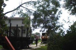 Tree Limb Being Lowered by Crane