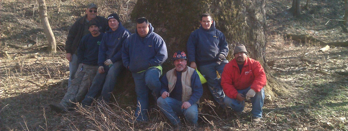 Group of People Sitting in Front of a Tree